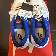 NIKE フルフォース　ブルーの画像