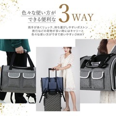 ペット キャリーバッグ 3way リュックの画像