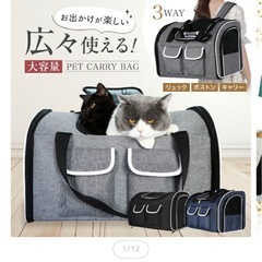 ペット キャリーバッグ 3way リュックの画像