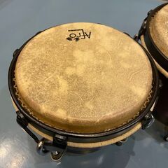 AFRO ボンゴ パーカッション - Studio NU-VU (スタジオヌーブ/西宮市/夙川)の画像