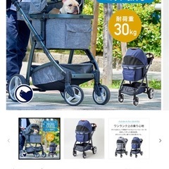 OFTペットカート・ファーストクラスの画像