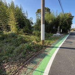 竹を無料で差し上げますの画像