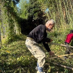 竹を無料で差し上げますの画像