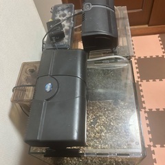 水槽フルセット✖️4 早い者勝ちです！ の画像