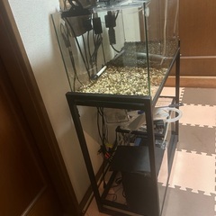 水槽フルセット✖️4 早い者勝ちです！ の画像