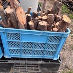 薪　太めの枝　みかん箱1つあたりの画像