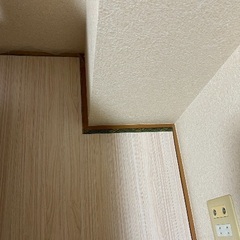 ウッドカーペット（マスク付き）の画像