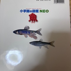 小学館の図鑑NEOネオ★魚とドラえもんふしぎ探検シリーズ世界のふしぎ大探検の画像