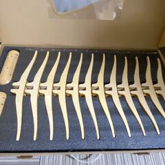 M619 BELSI HOMU スケルトンチェア SkeletONシリーズ ナチュラルの画像