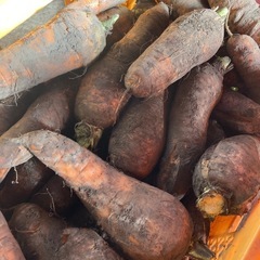 無農薬栽培～野菜～の画像