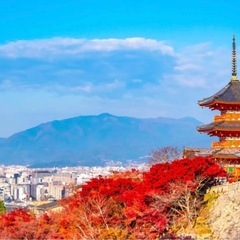清水寺一緒に散策しませんか？🍁