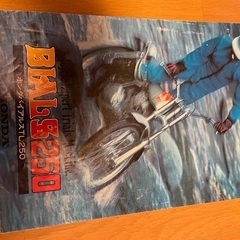 ホンダ、バイアレス250カタログの画像