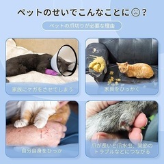 猫 爪切り 安全設計＆静音タイプ 深爪しないステンレス刃 持ちやすい 初心者向けの画像