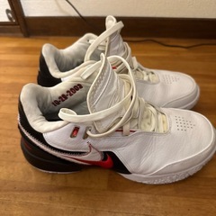 ナイキ Zoom LeBron NXXTの画像