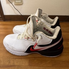 ナイキ Zoom LeBron NXXTの画像