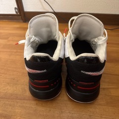 ナイキ Zoom LeBron NXXTの画像