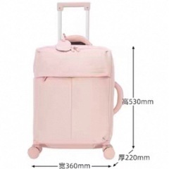 ピンクベージュ キャリーケース 機内持ち込み可 おしゃれな軽量スーツケース 4輪の画像