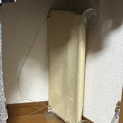 猫　ベッドの画像