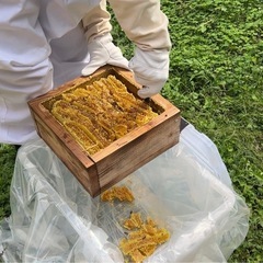 【鹿児島市郡山近辺の障害者手帳所持者大募集】の画像