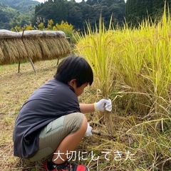 【鹿児島市郡山近辺の障害者手帳所持者大募集】の画像