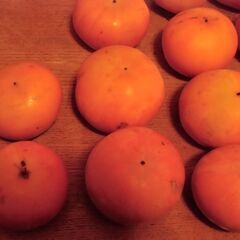 ふぞろい 無農薬 小さめ 柿 1個 20円にてお譲りします。◎最大10個ぐらい◎即日対応可の画像