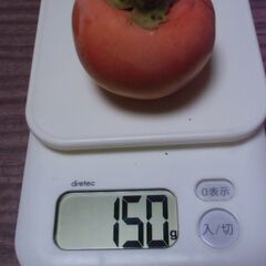 ふぞろい 無農薬 小さめ 柿 1個 20円にてお譲りします。◎最大10個ぐらい◎即日対応可の画像