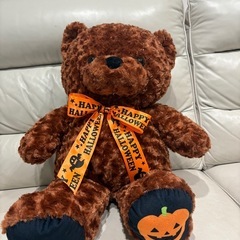 くま　ぬいぐるみ　の画像