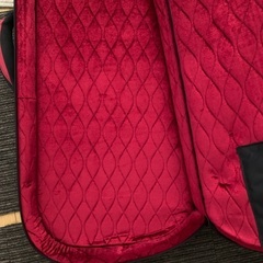 Reunion Blues AERO-E1 セミ・ハードケース　エレキギター用の画像