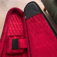 Reunion Blues AERO-E1 セミ・ハードケース　エレキギター用の画像