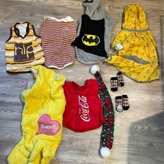 犬の洋服の画像