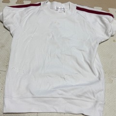 野田中央幼稚園
の画像