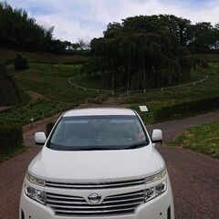 日産エルグランドハイウェイスター、パール７人、オットマン三ヶ所ナビ２．５タイプの画像