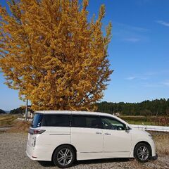 日産エルグランドハイウェイスター、パール７人、オットマン三ヶ所ナビ２．５タイプの画像