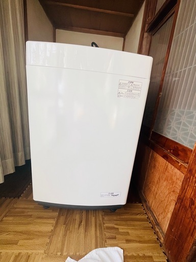 アイリッシュアイアンマン洗濯機