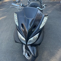 マジェスティの画像