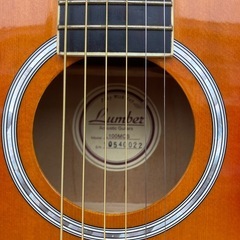 ギター本体のみ（トラベルギターの画像