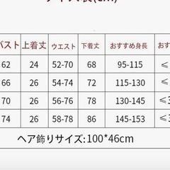 （美品）ジャスミン衣装セットの画像