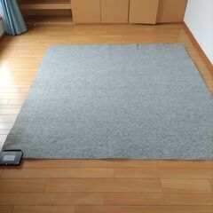 2畳ホットカーペットの画像