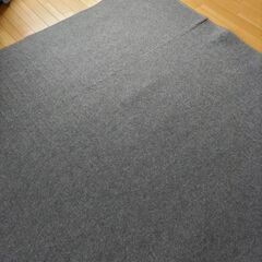 2畳ホットカーペットの画像