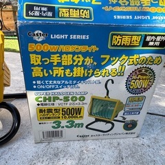 【国分寺】ハロゲンライト　ランプ　屋内　屋外　兼用の画像