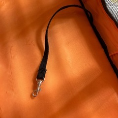 ペットキャリー 
の画像