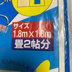 未使用品レジャー用ブルーシートの画像