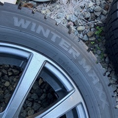 175/65r15 ダンロップWN02の画像