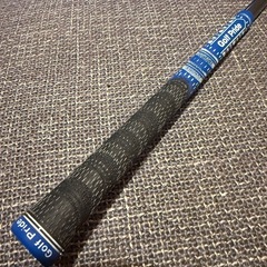 プロトステガ シャフト キャロウェイの画像