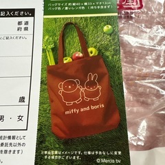 フジパン ミッフィー コットンバック 2025 22点の画像