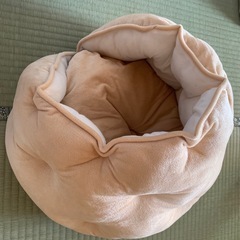 ペット用 ベットの画像