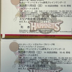 秋田ノーザンハピネッツ観戦チケット　11/8、11/9 一階自由席