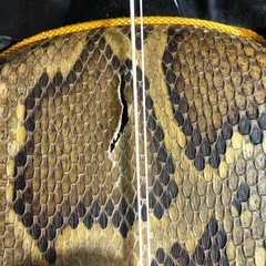 本革　　三線の画像