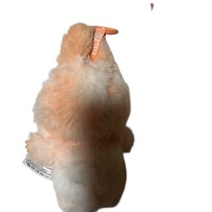 【国内正規品】THE MONSTERS Big into Energy ラブブの画像