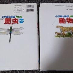 【交渉中】小学館の図鑑NEO 昆虫 動物 2冊セットの画像